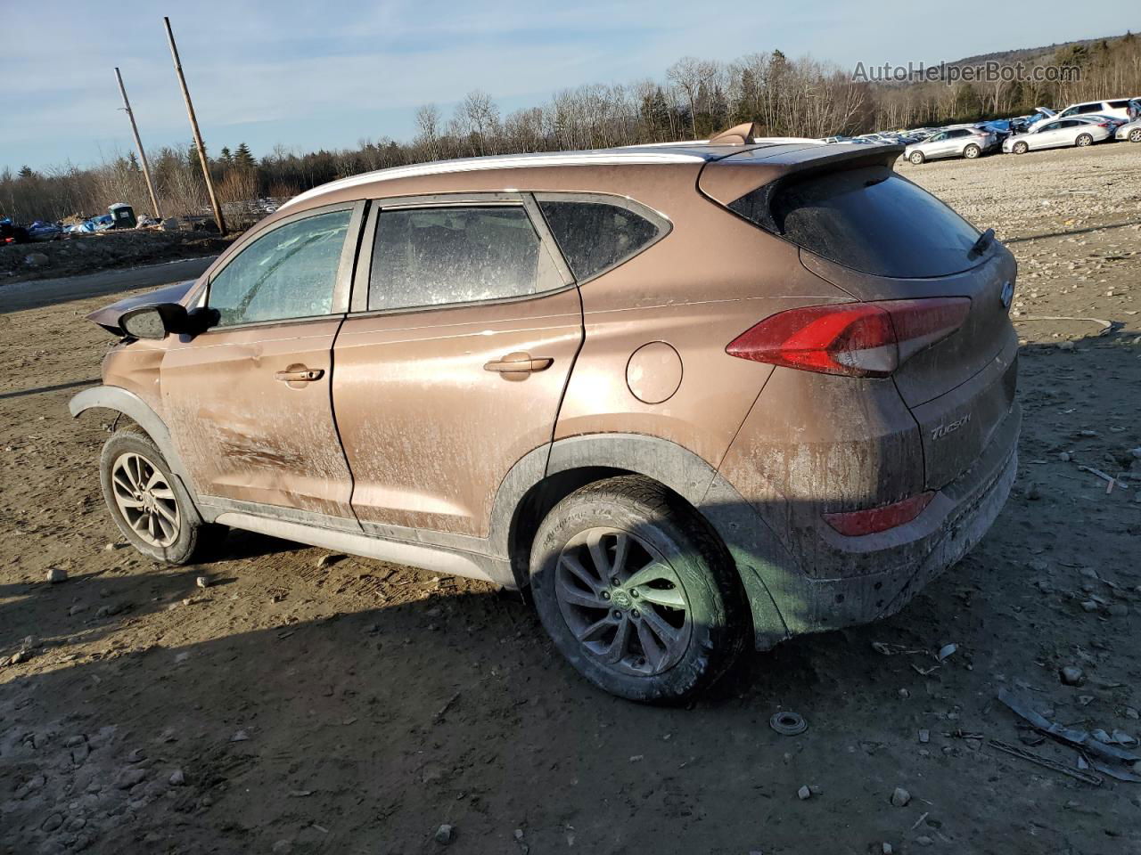 2017 Hyundai Tucson Limited Brown vin: KM8J3CA48HU438554