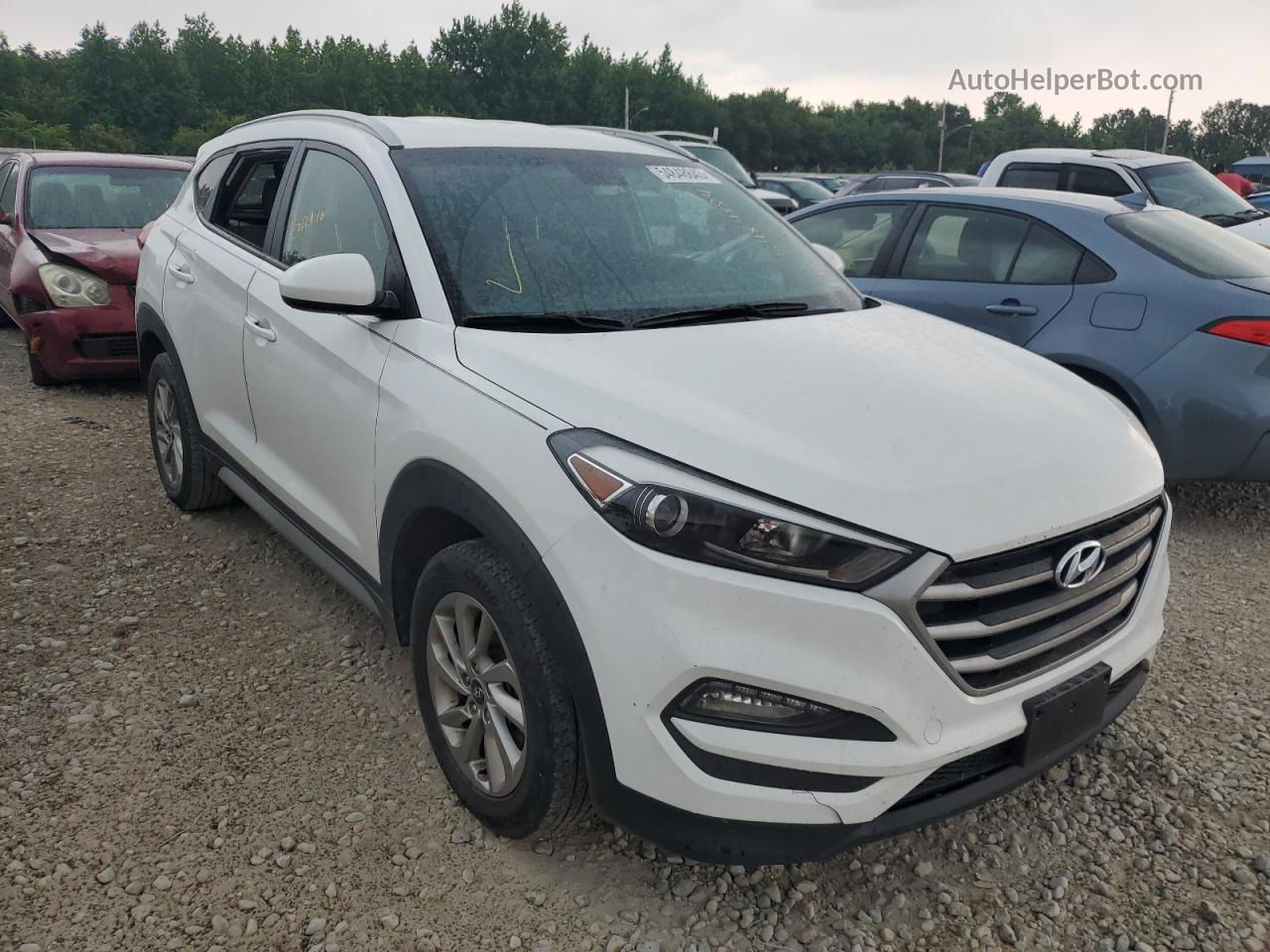 2017 Hyundai Tucson Limited Белый vin: KM8J3CA48HU549346