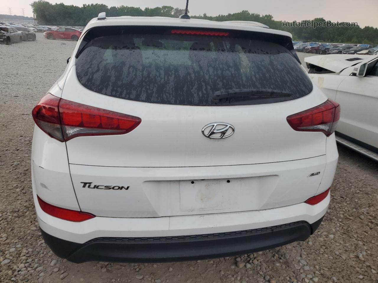 2017 Hyundai Tucson Limited Белый vin: KM8J3CA48HU549346