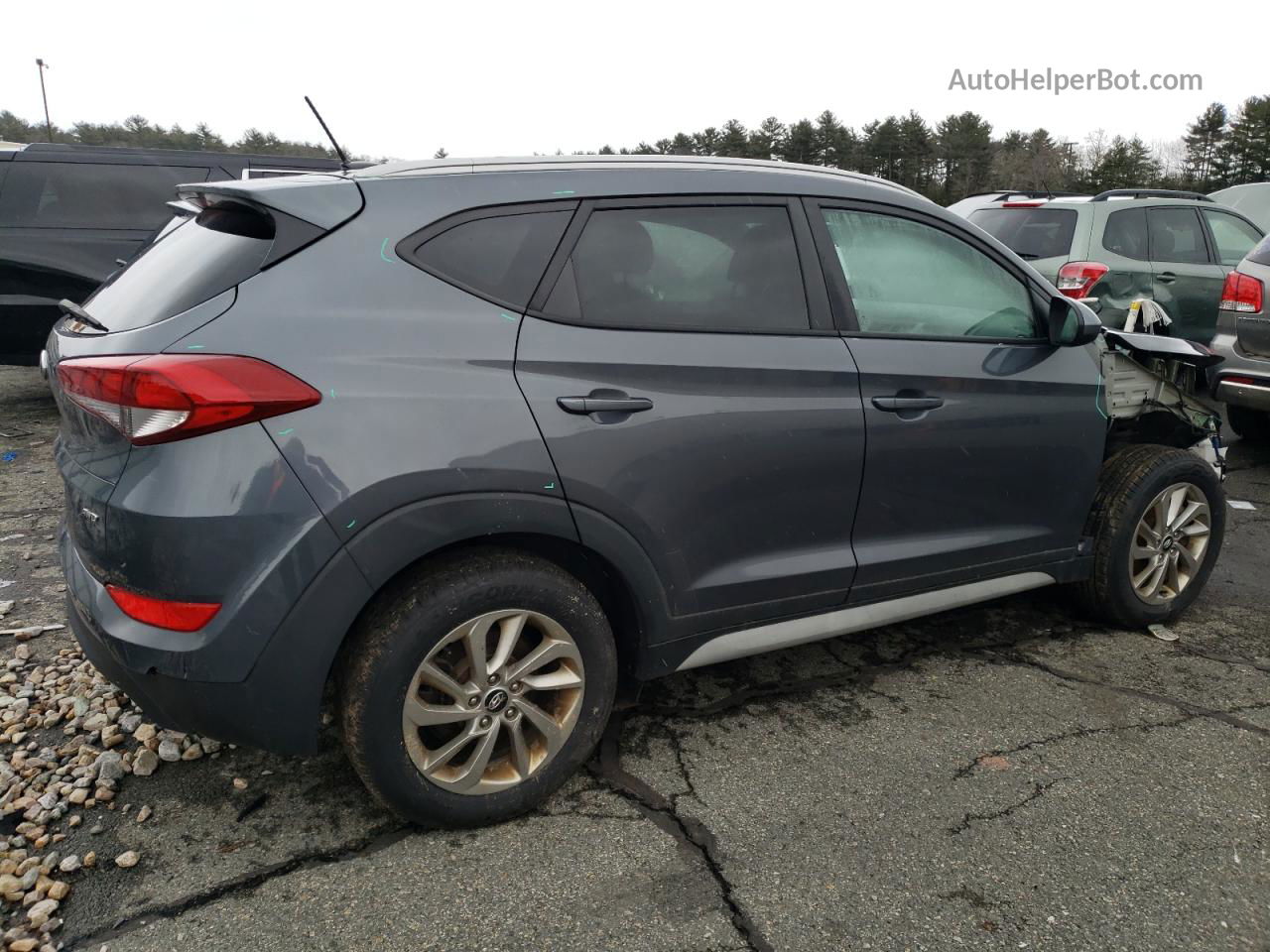 2017 Hyundai Tucson Limited Gray vin: KM8J3CA48HU587675