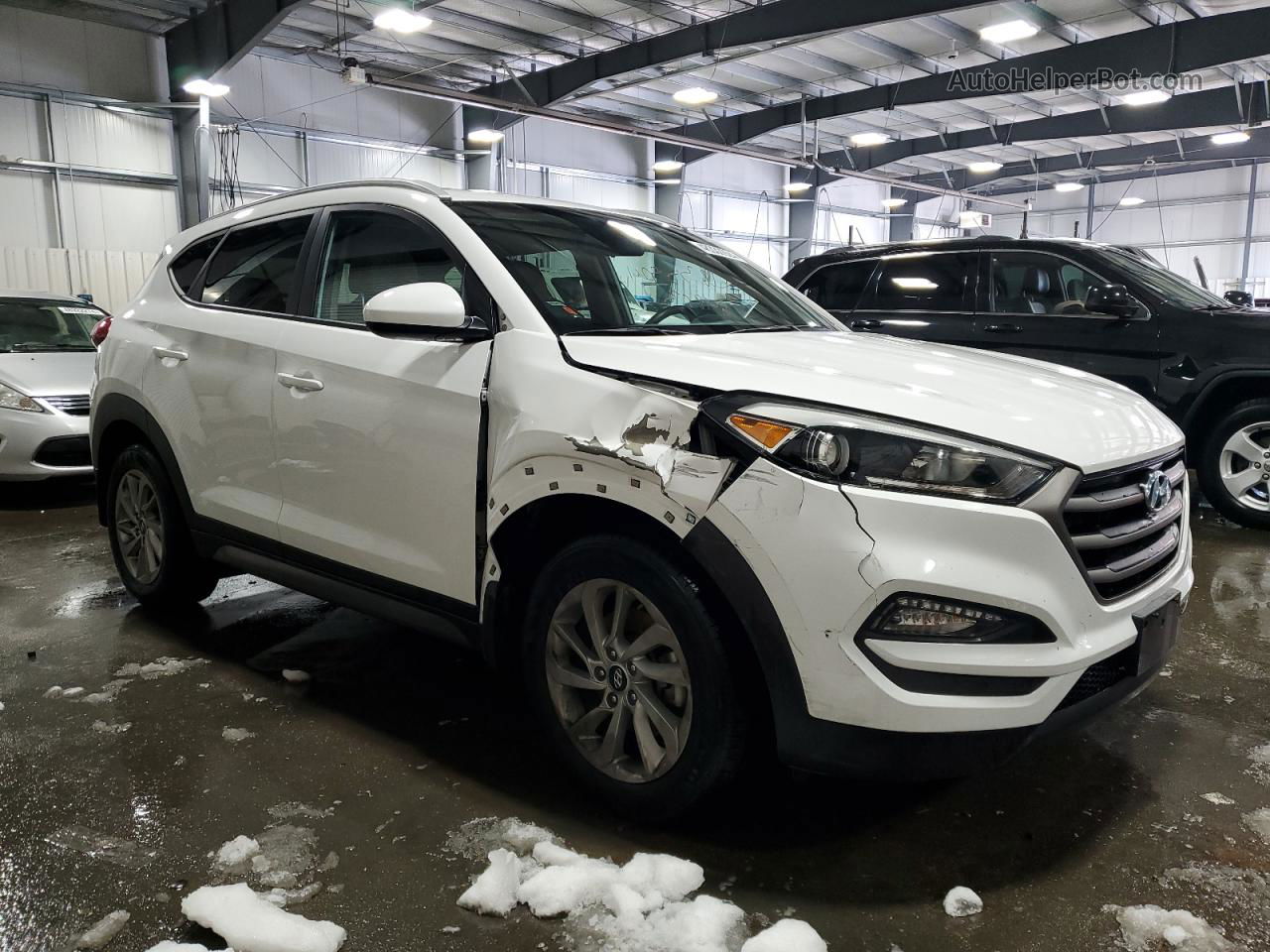 2016 Hyundai Tucson Limited Белый vin: KM8J3CA4XGU195876