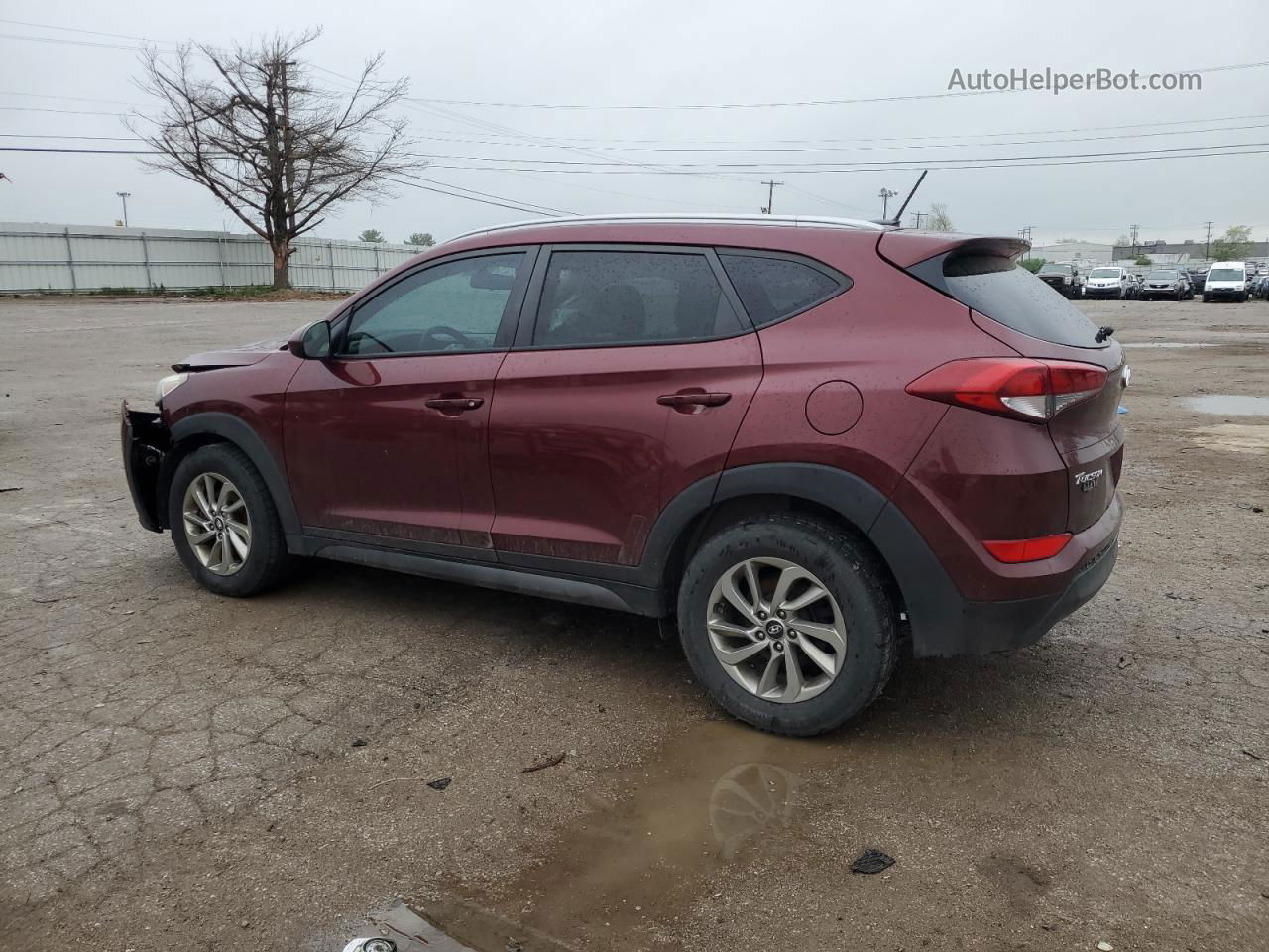 2016 Hyundai Tucson Limited Бордовый vin: KM8J3CA4XGU207959