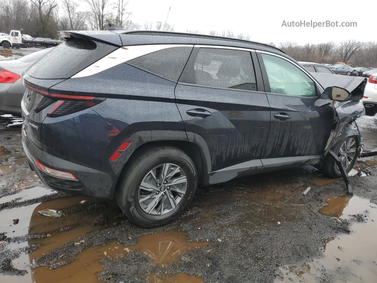 2022 Hyundai Tucson Blue Blue vin: KM8JBCA10NU020638