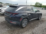 2022 Hyundai Tucson Blue Синий vin: KM8JBCA10NU060203