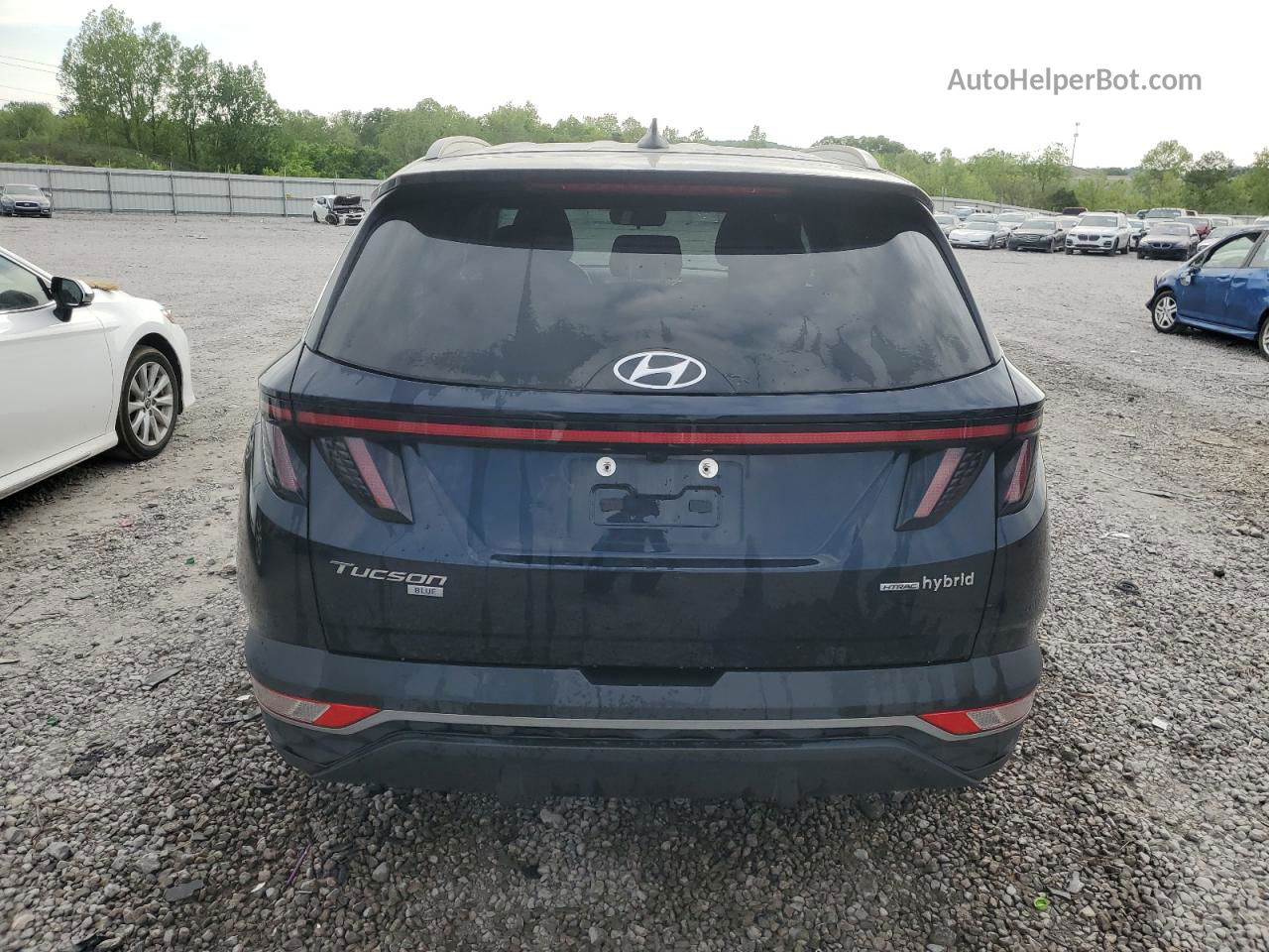 2022 Hyundai Tucson Blue Синий vin: KM8JBCA10NU060203