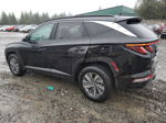 2022 Hyundai Tucson Blue Black vin: KM8JBCA10NU082332