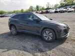 2022 Hyundai Tucson Blue Black vin: KM8JBCA13NU031035