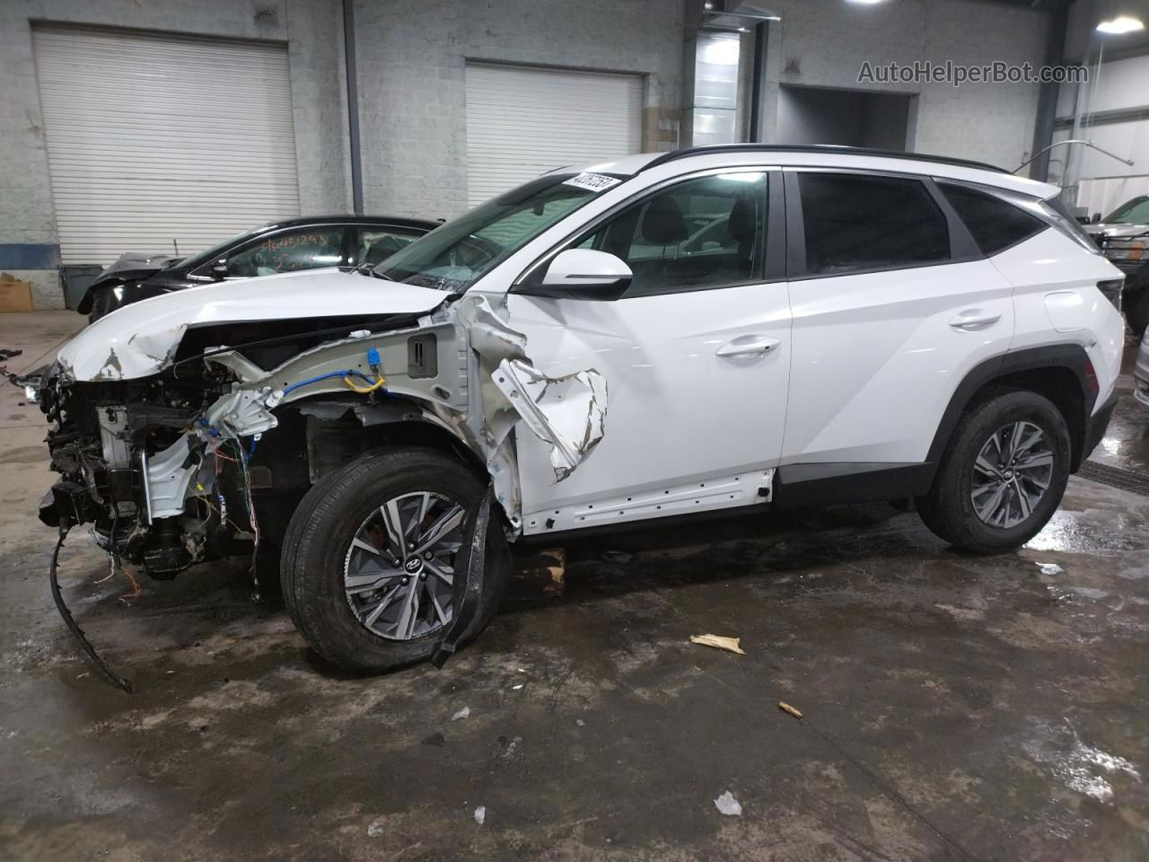 2022 Hyundai Tucson Blue White vin: KM8JBCA13NU072510