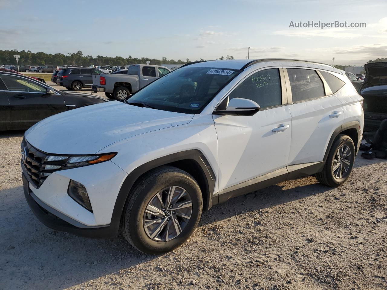 2022 Hyundai Tucson Blue White vin: KM8JBCA14NU044554