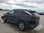 2022 Hyundai Tucson Blue Black vin: KM8JBCA18NU024341