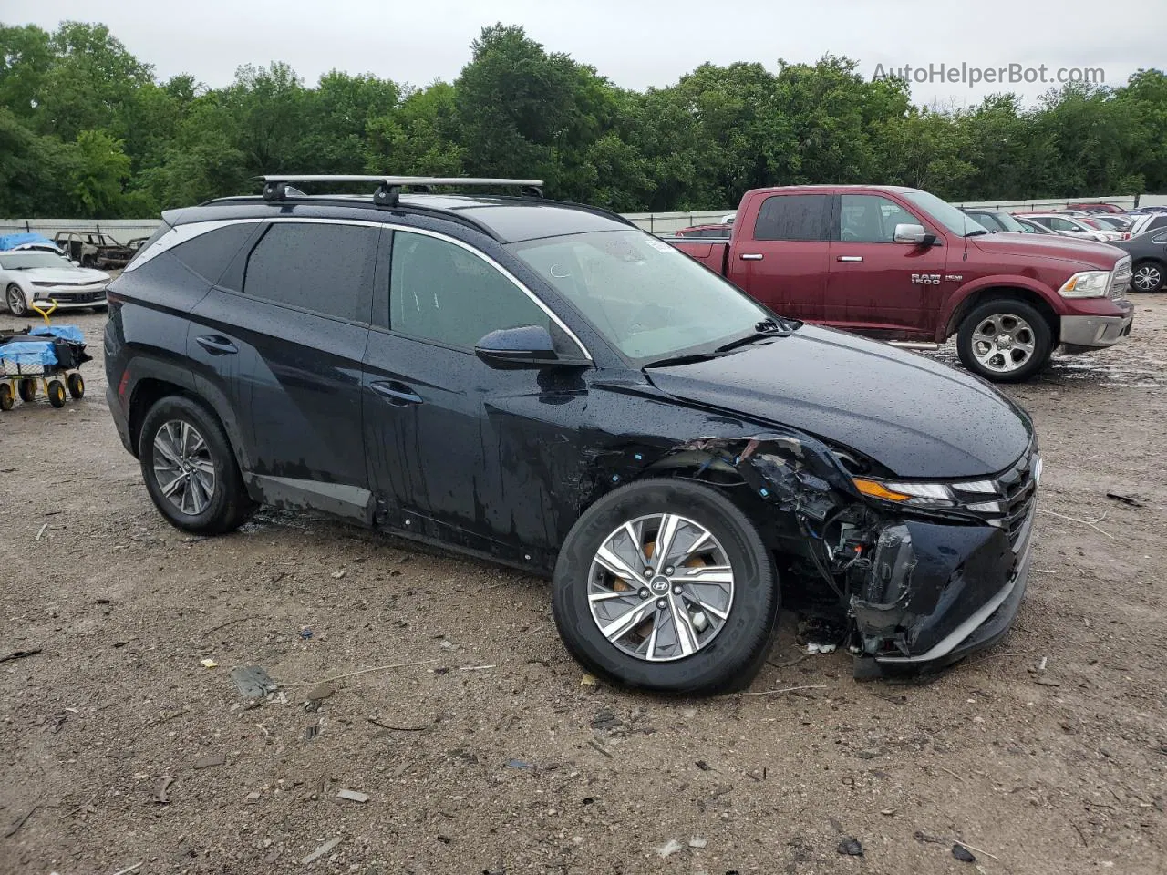 2022 Hyundai Tucson Blue Blue vin: KM8JBCA18NU081963