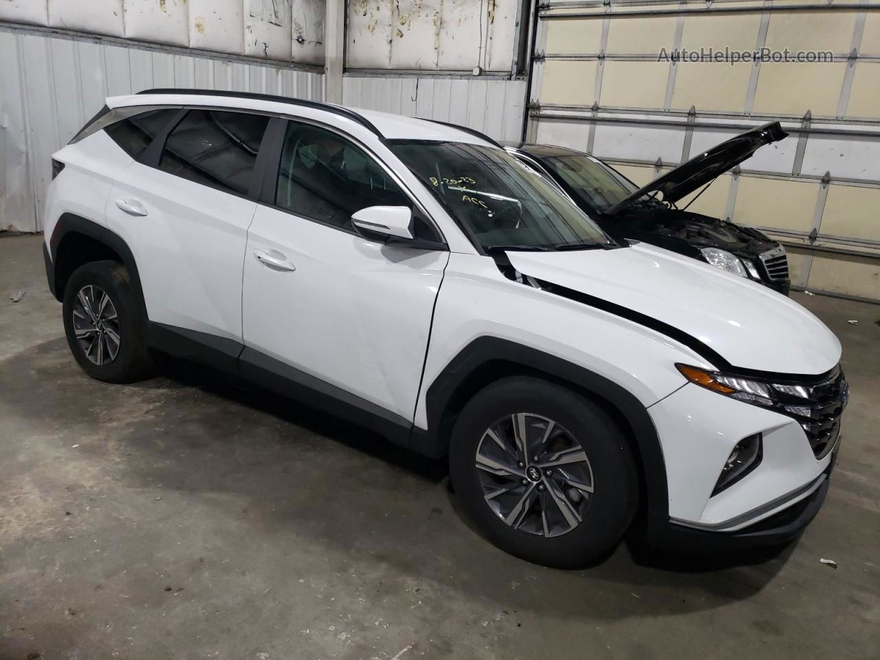 2022 Hyundai Tucson Blue White vin: KM8JBCA19NU063486