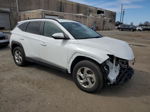 2022 Hyundai Tucson Sel White vin: KM8JBCAE7NU171110