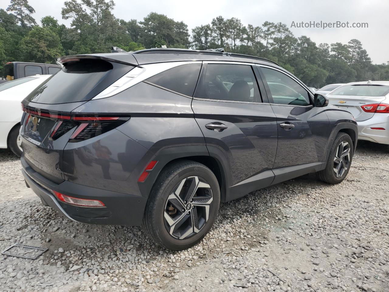 2022 Hyundai Tucson Limited Серый vin: KM8JE3AE1NU112013