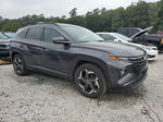 2022 Hyundai Tucson Limited Gray vin: KM8JE3AE1NU112013