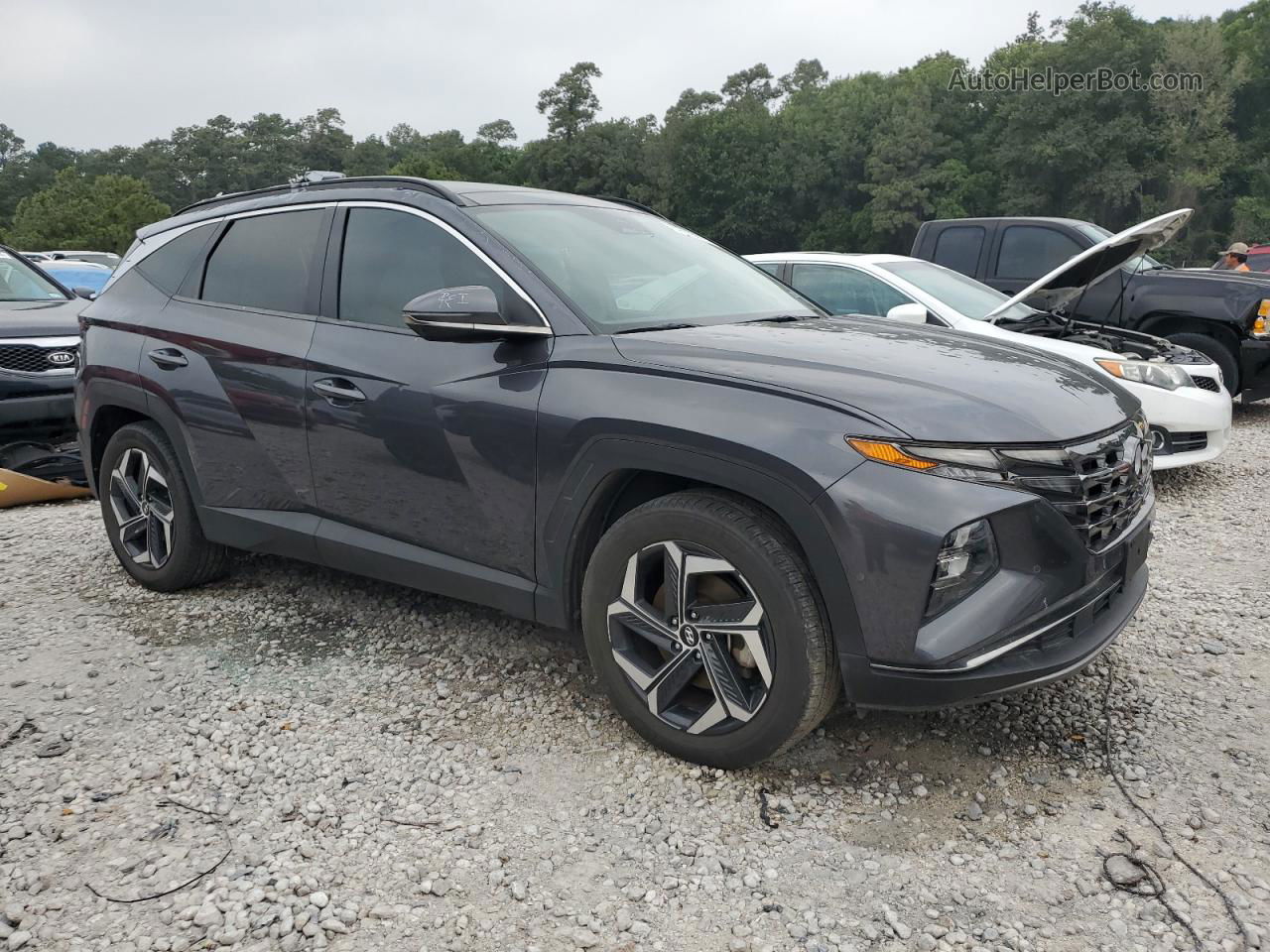 2022 Hyundai Tucson Limited Серый vin: KM8JE3AE1NU112013