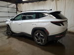 2022 Hyundai Tucson Limited White vin: KM8JECA12NU037724