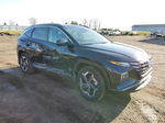 2022 Hyundai Tucson Sel Convenience Blue vin: KM8JFCA17NU070442