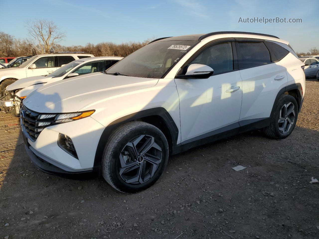 2022 Hyundai Tucson Sel Convenience White vin: KM8JFCA19NU012073