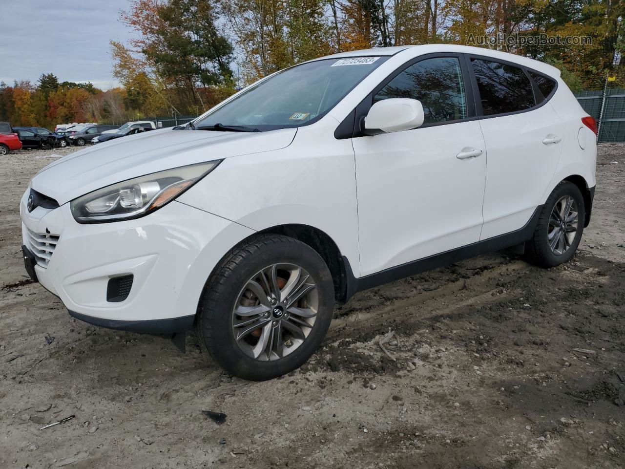 2014 Hyundai Tucson Gls White vin: KM8JT3AFXEU924666