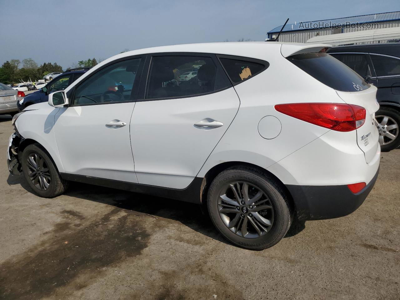 2014 Hyundai Tucson Gls White vin: KM8JTCAFXEU857762