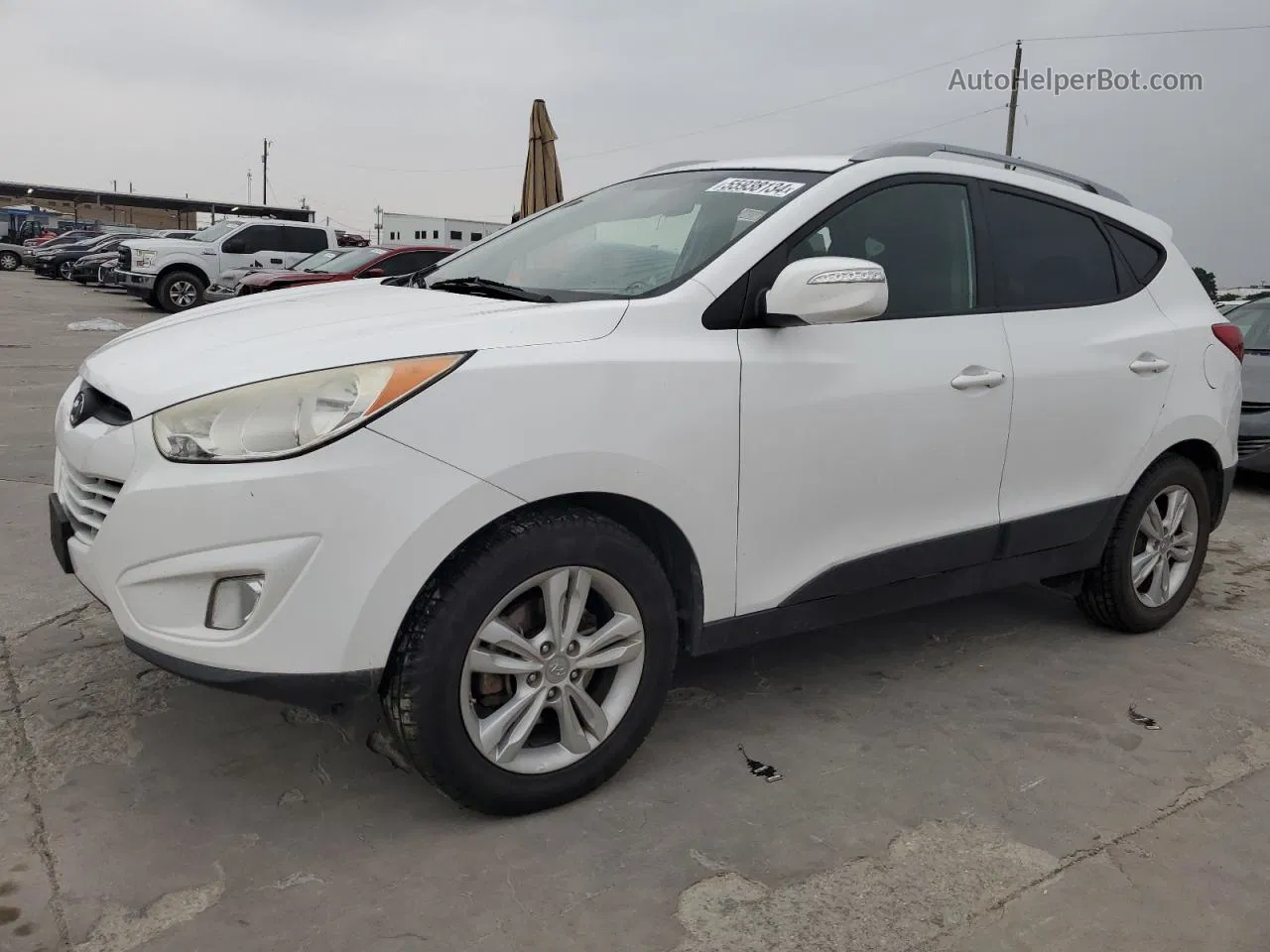 2013 Hyundai Tucson Gls Белый vin: KM8JU3AC1DU760094