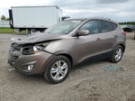 2013 Hyundai Tucson Gls Brown vin: KM8JU3AC2DU561345