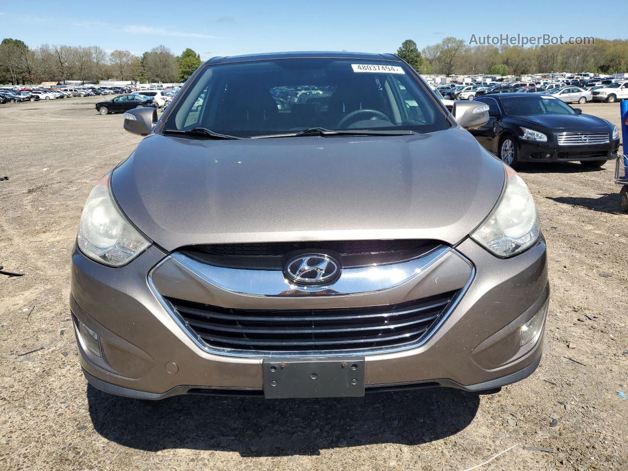 2013 Hyundai Tucson Gls Tan vin: KM8JU3AC2DU564911