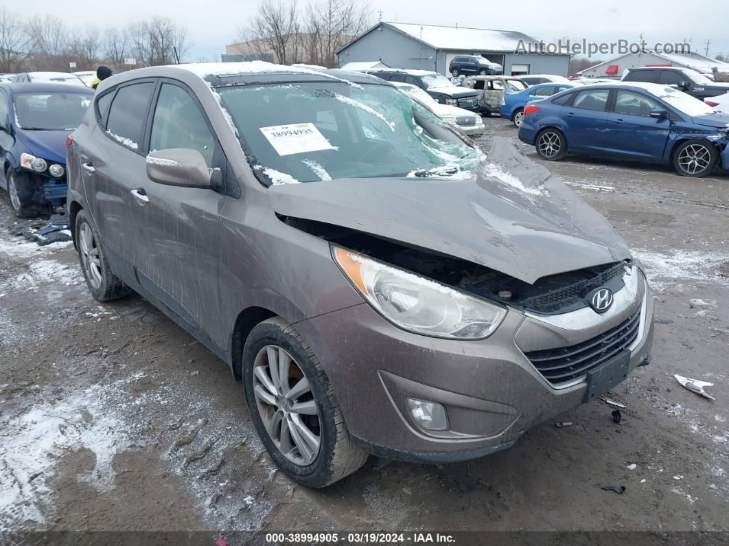 2013 Hyundai Tucson Limited Gray vin: KM8JU3AC6DU550686