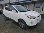 2014 Hyundai Tucson Gls Белый vin: KM8JU3AG2EU926823