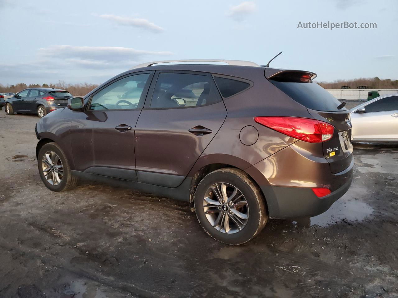 2014 Hyundai Tucson Gls Brown vin: KM8JU3AG3EU824009