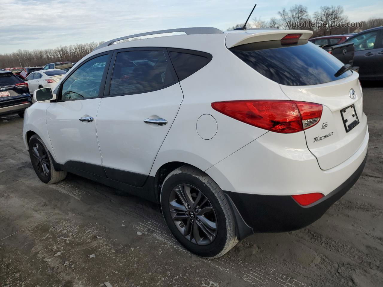 2014 Hyundai Tucson Gls Белый vin: KM8JU3AG3EU934431