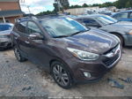 2014 Hyundai Tucson Limited Brown vin: KM8JU3AG4EU850246