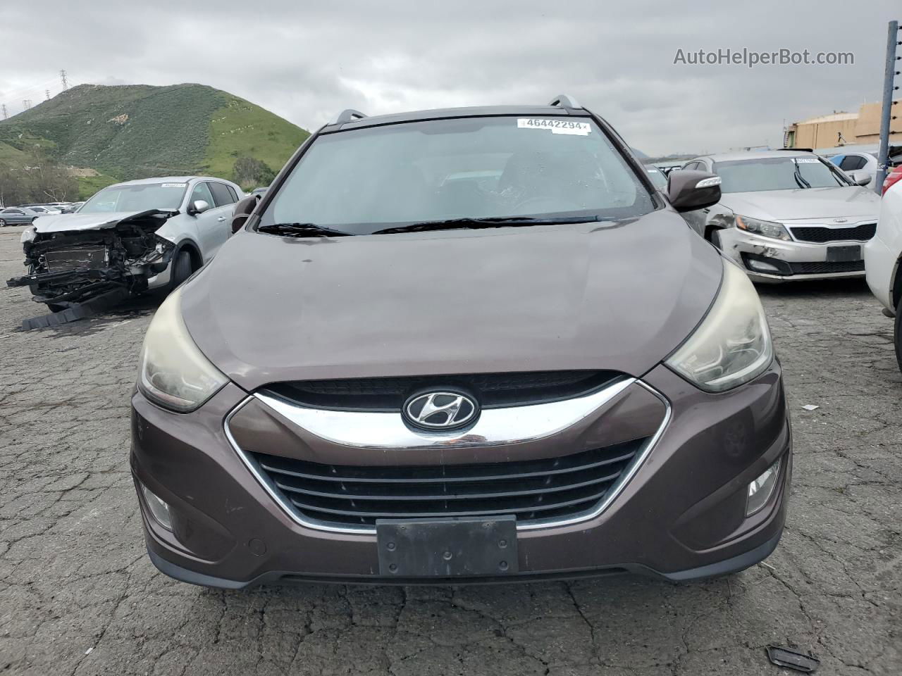 2014 Hyundai Tucson Gls Brown vin: KM8JU3AG8EU893925