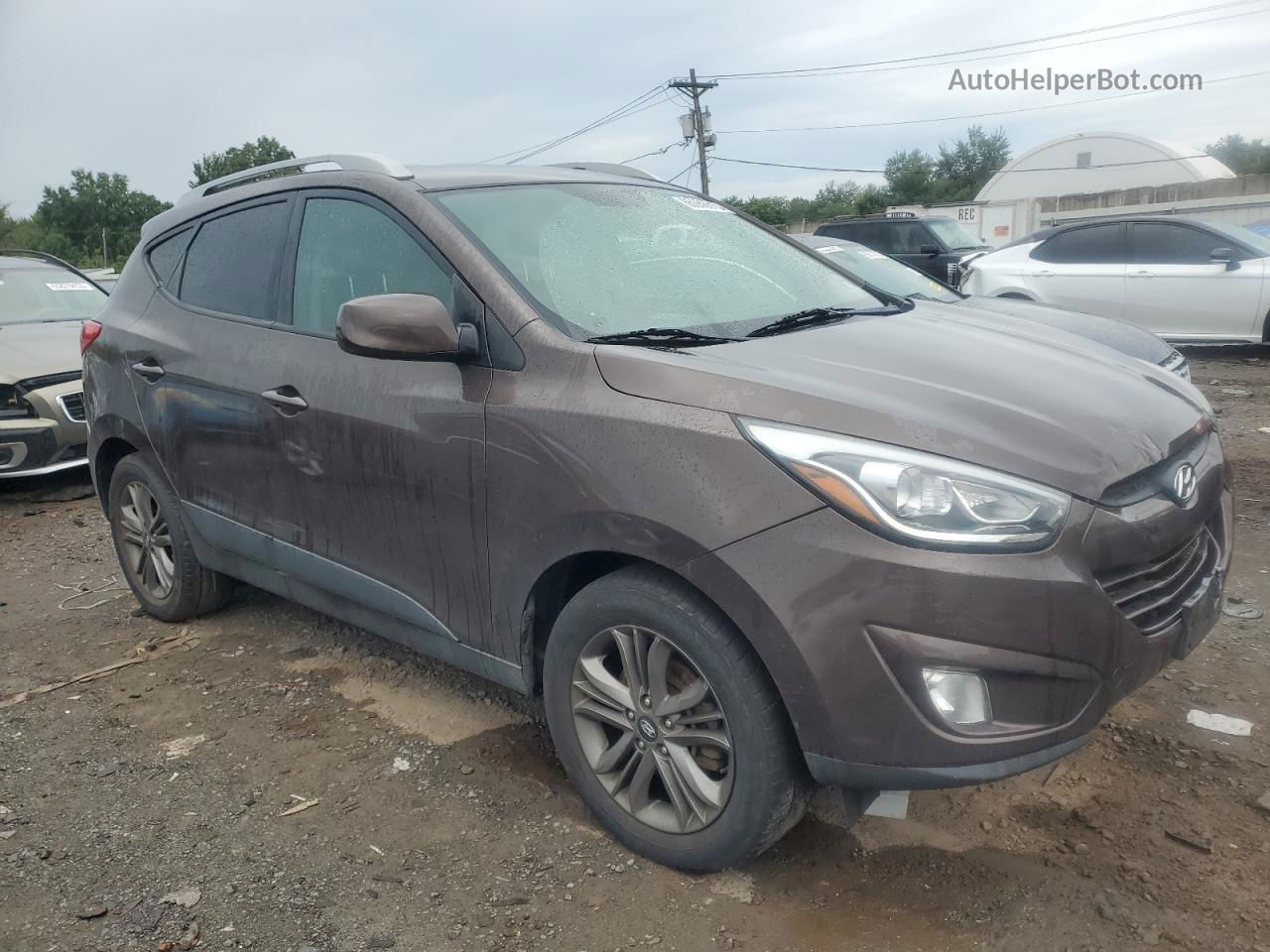 2014 Hyundai Tucson Gls Brown vin: KM8JU3AGXEU831068