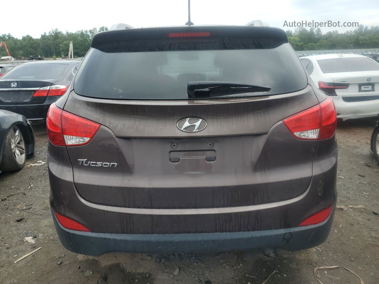 2014 Hyundai Tucson Gls Brown vin: KM8JU3AGXEU831068