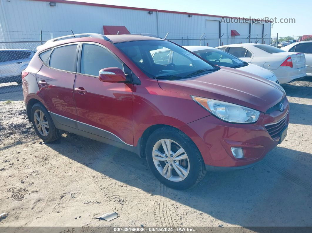 2013 Hyundai Tucson Gls Красный vin: KM8JUCAC6DU767042