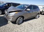 2013 Hyundai Tucson Gls Brown vin: KM8JUCAC8DU603467