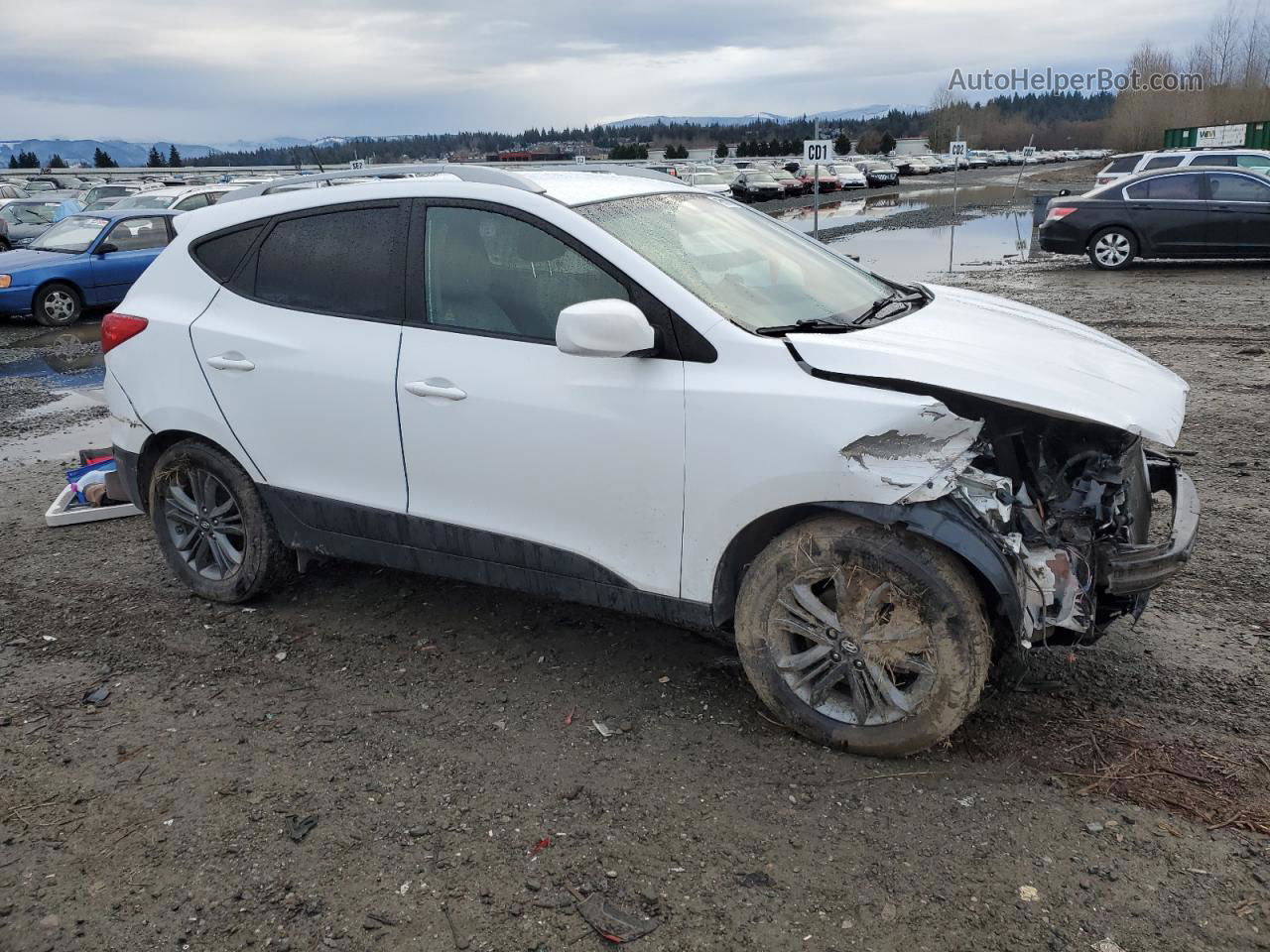 2014 Hyundai Tucson Gls Белый vin: KM8JUCAG1EU859034