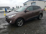 2014 Hyundai Tucson Gls Brown vin: KM8JUCAG2EU854571