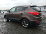 2014 Hyundai Tucson Gls Коричневый vin: KM8JUCAG2EU854571