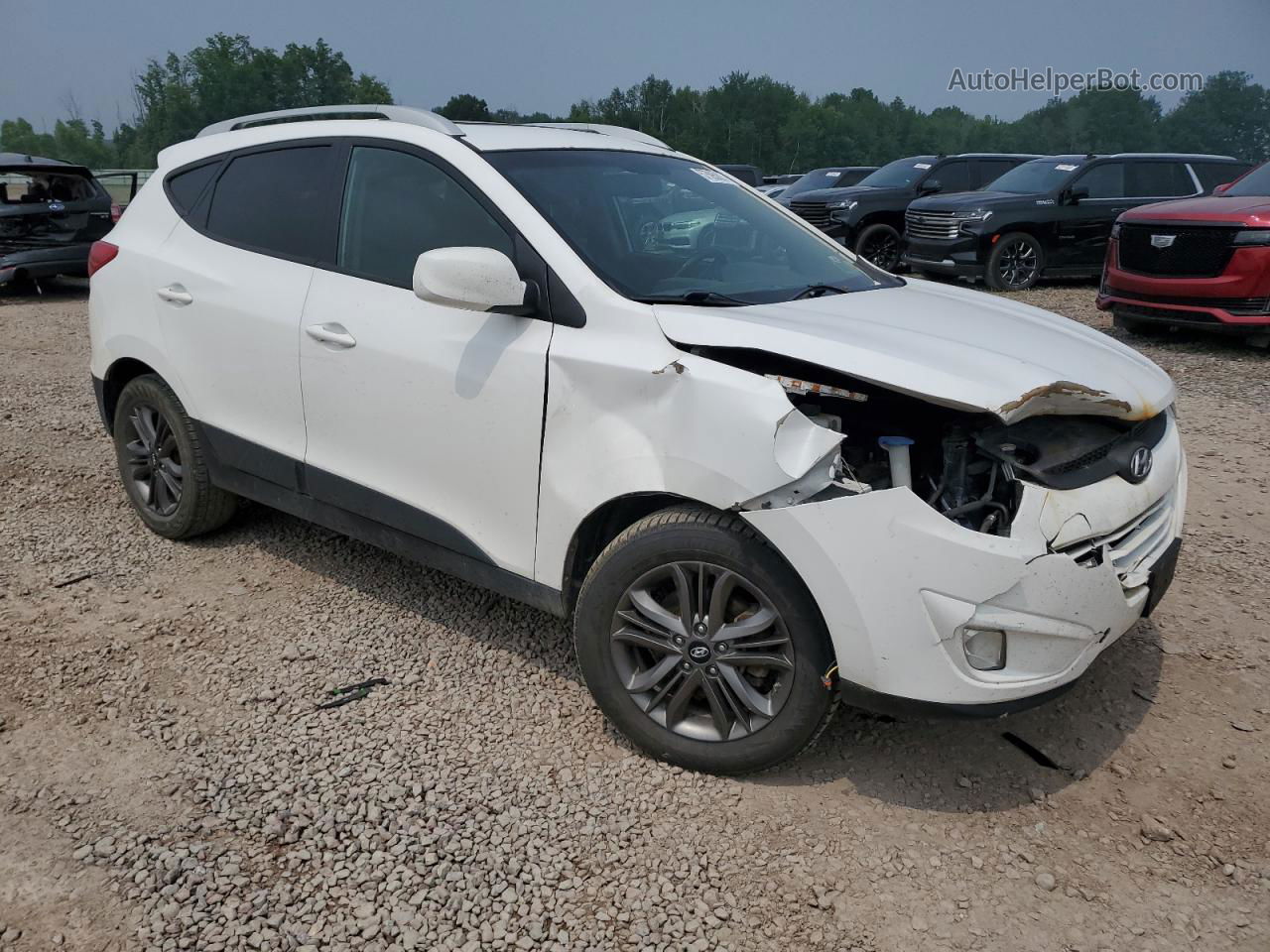 2014 Hyundai Tucson Gls White vin: KM8JUCAG3EU897915