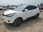 2014 Hyundai Tucson Gls Белый vin: KM8JUCAG3EU897915