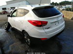 2014 Hyundai Tucson Se White vin: KM8JUCAG4EU870982