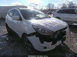 2014 Hyundai Tucson Se White vin: KM8JUCAG4EU904614