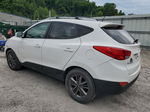 2014 Hyundai Tucson Gls White vin: KM8JUCAGXEU944566