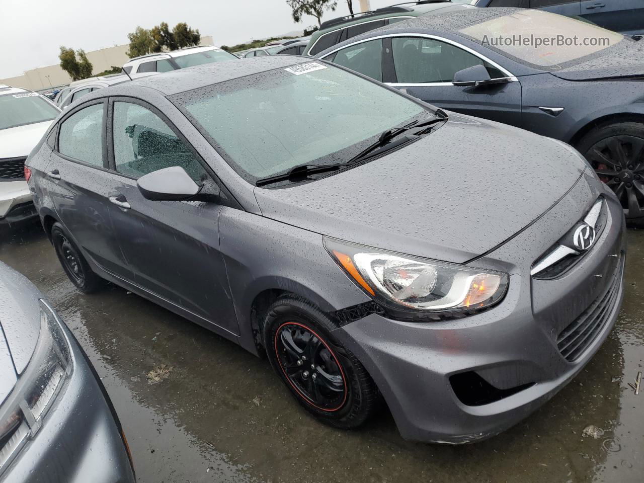 2014 Hyundai Accent Gls Gray vin: KMHCT4AE2EU650773