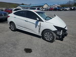 2015 Hyundai Accent Gls White vin: KMHCT4AE3FU912527