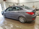 2014 Hyundai Accent Gls Gray vin: KMHCT4AEXEU724232