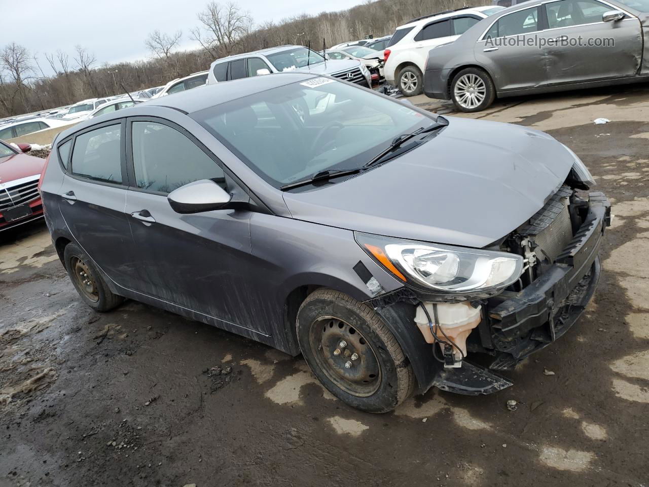 2014 Hyundai Accent Gls Gray vin: KMHCT5AE7EU181766